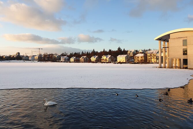 2-Hour Reykjavik Private Walking Tour - Reykjavik City Hall and the Photo-Friendly Moments Around It