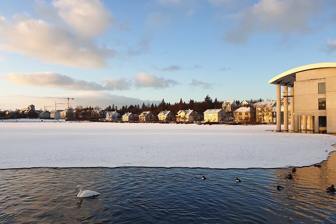 2-Hour Reykjavik Private Walking Tour - Lake Tjörnin Statues and the Bill Clinton Hot Dog Story