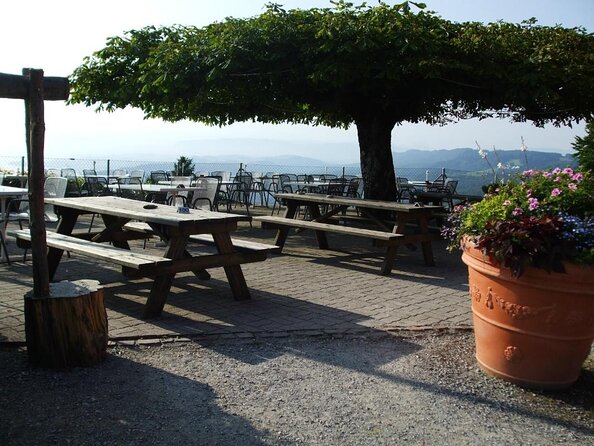 3 in 1: Zurich Walking Tour - Cruise on the Lake - Cable Car Ride to Felsenegg - Zurich in One Day: why this 3-in-1 format actually makes sense