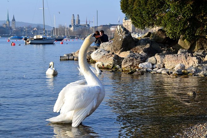 3 in 1: Zurich Walking Tour - Cruise on the Lake - Cable Car Ride to Felsenegg - Pace, shoes, and value at about $110 per person