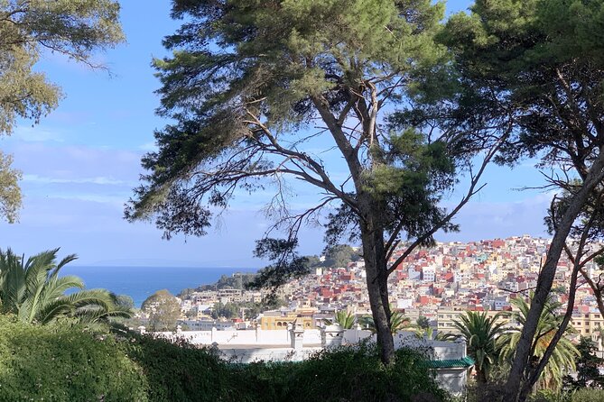 3h Private Walking Tour in Tangier Kasbah Medina & Colorful Souks - Tangier’s Kasbah to the Medina: why 3 hours can be the sweet spot