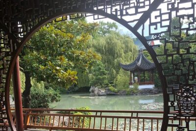 A Wok Around Chinatown: Culinary and Cultural Walking Tour Led by a Chef - The Tea Part: More Than a Sip