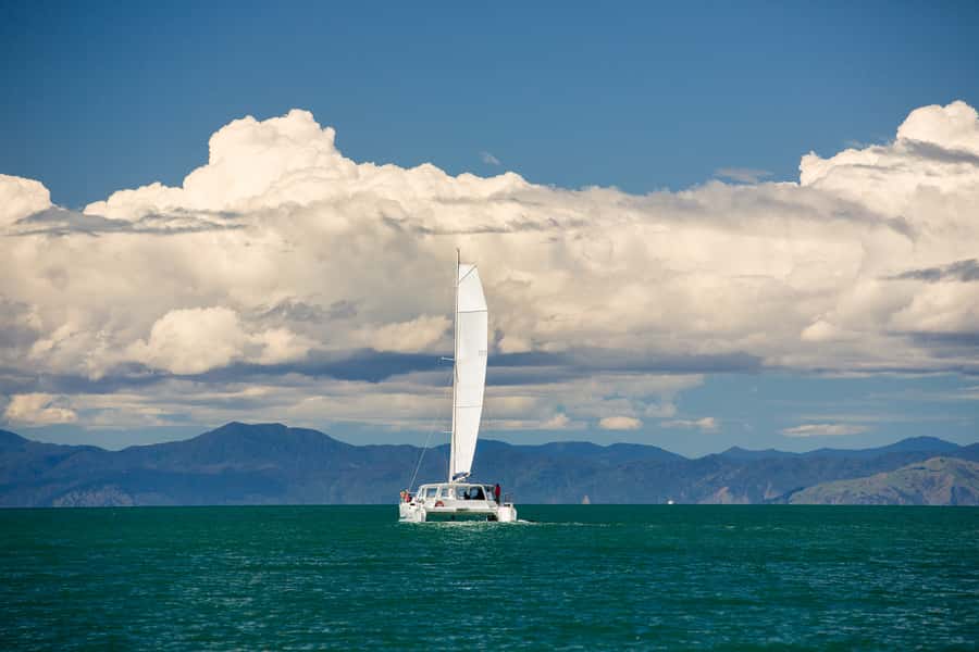 Abel Tasman National Park: Sailing and Self-Guided Walk - On the catamaran: the coastline route, seals, and skipper stories