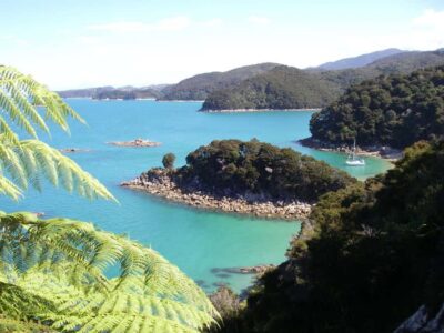 Abel Tasman National Park: Sailing and Self-Guided Walk - The morning run-up: getting to Kaiteriteri and your first stretch