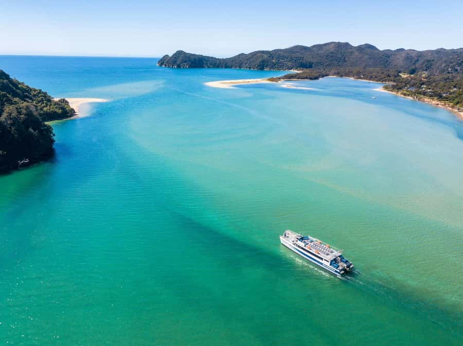 Abel Tasman: Sea Shuttle Cruise and Walking Tour Combo - Walk options A, B, and C: how to choose your Abel Tasman day