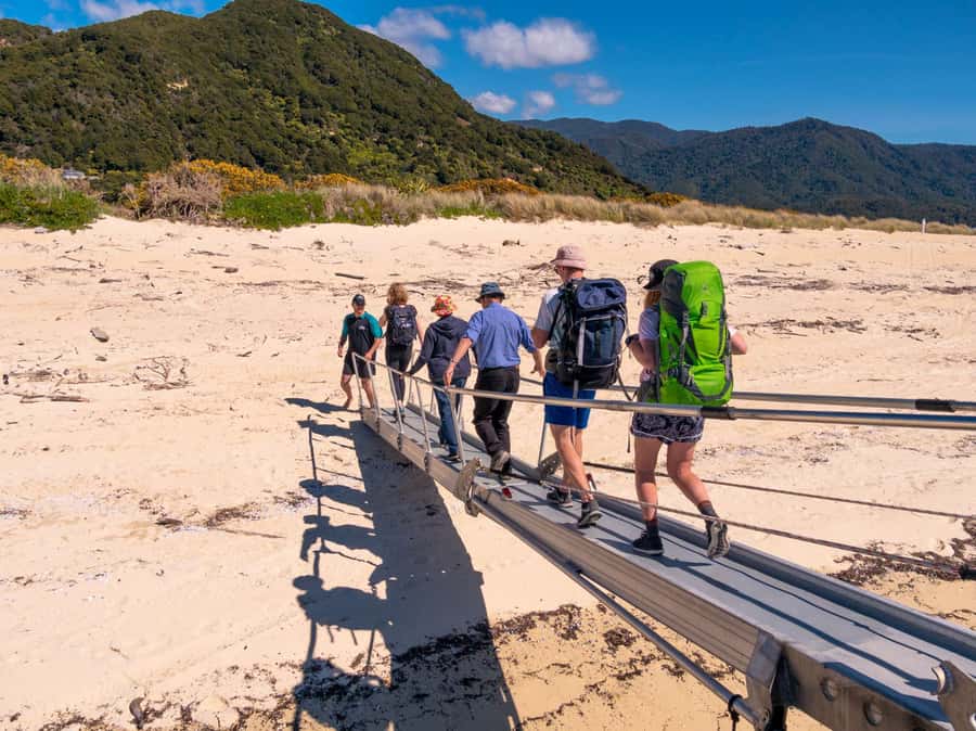 Abel Tasman: Sea Shuttle Cruise and Walking Tour Combo - Getting in and out of Kaiteriteri without stress