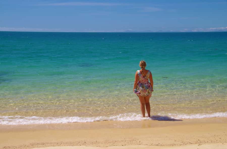 Abel Tasman: Sea Shuttle Cruise and Walking Tour Combo - Guide and crew energy: what kind of narration you get