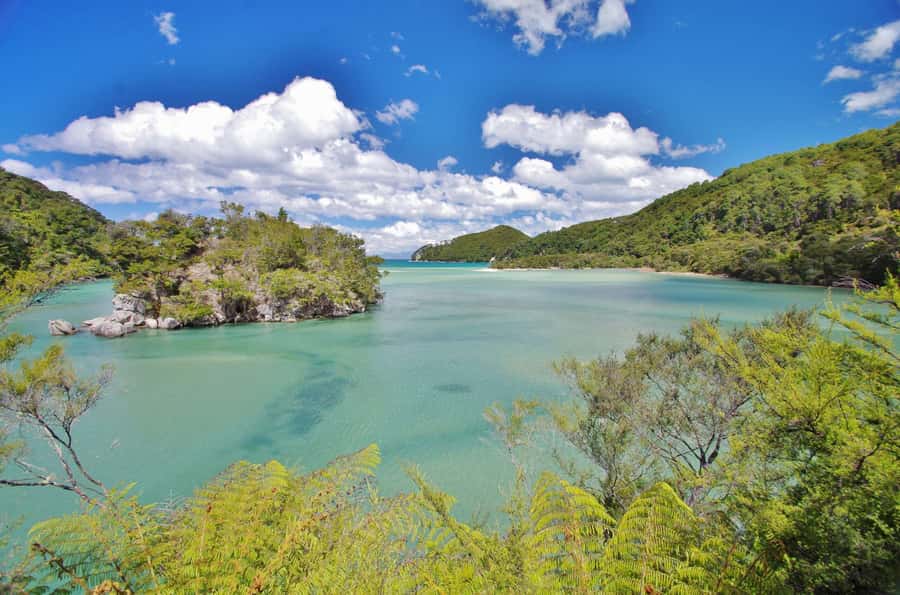Abel Tasman: Sea Shuttle Cruise and Walking Tour Combo - Value and pricing: what $74 buys you in the real world