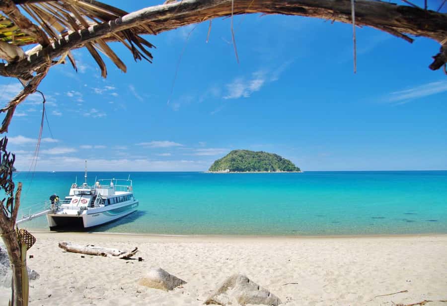 Abel Tasman: Sea Shuttle Cruise and Walking Tour Combo - Who should book this, and who might want a different plan