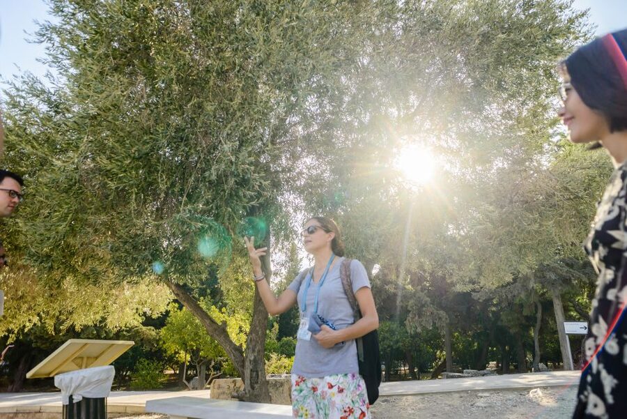 Acropolis: Acropolis and Parthenon Guided Walking Tour - Theatre of Dionysus: the start of Greek drama