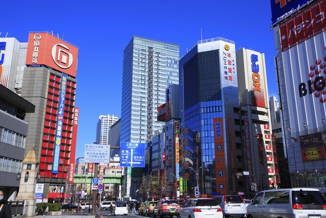 Akihabara Anime & Game Adventure Walking Tour (Group or Private) - Key things to love about this Akihabara adventure