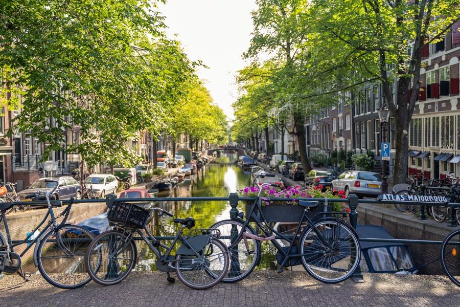 Amsterdam Small-Group Walking Tour - Meeting at Beursplein 1: the easiest start you’ll have all day