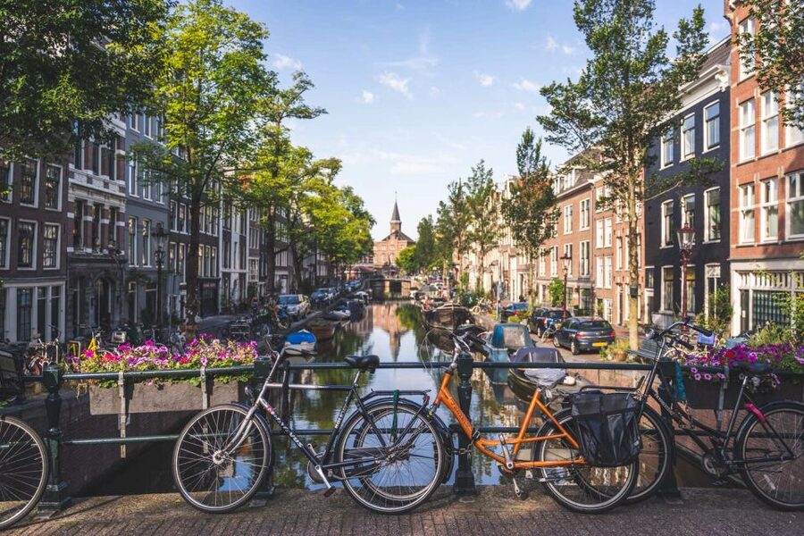 Amsterdam Small-Group Walking Tour - Amsterdam Flower Market: a practical stop that breaks up the walking