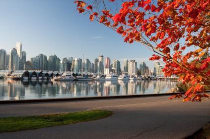 Ancient Trees of Vancouver Walking Tour - Key takeaways before you go