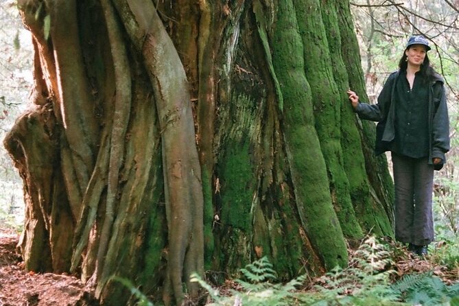 Ancient Trees of Vancouver Walking Tour - Price and value: what you’re paying for