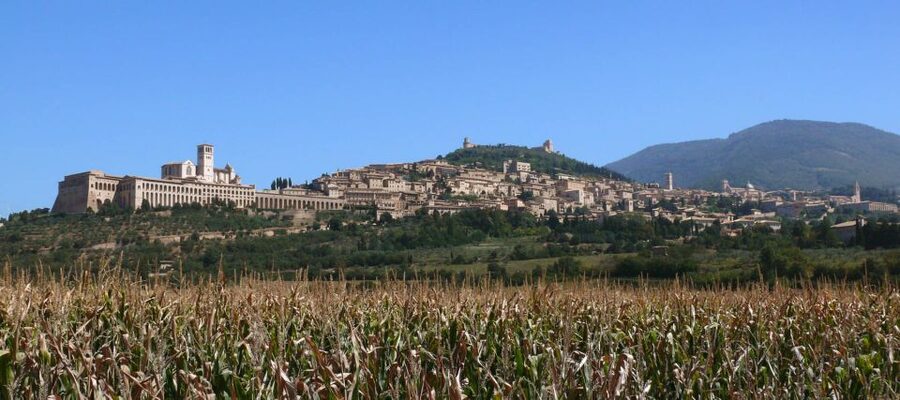 Assisi: Walking Tour with St. Francis Basilica Visit - Key Highlights You’ll Care About