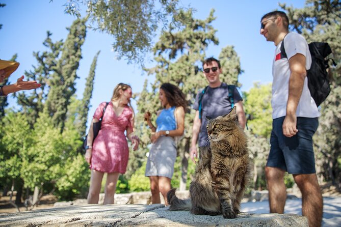 Athens Acropolis and Parthenon Walking Tour - The walk up: Propylaea and the first big “okay, I get it” moment