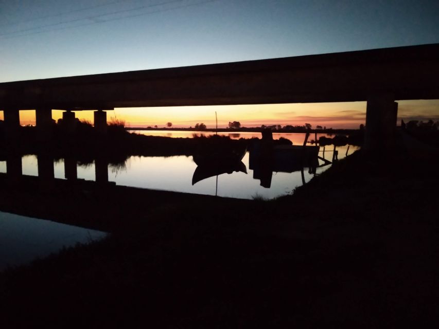 Aveiro: Boat Cruise and City Walking Tour with Sweet Tasting - Key things to know before you go