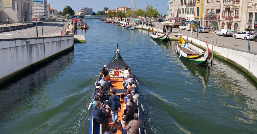 Aveiro: Stories, Canals, and Tiles Guided Walking Tour - Rua de Coimbra and Calçada à Portuguesa Under Your Feet