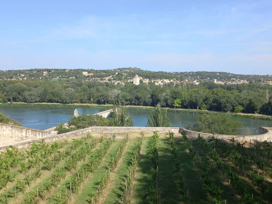 Avignon: City Walking Tour with Popes Palace Entry - How the Palace Time Works: Pacing, Room Explanations, and Picture-Friendly Stops