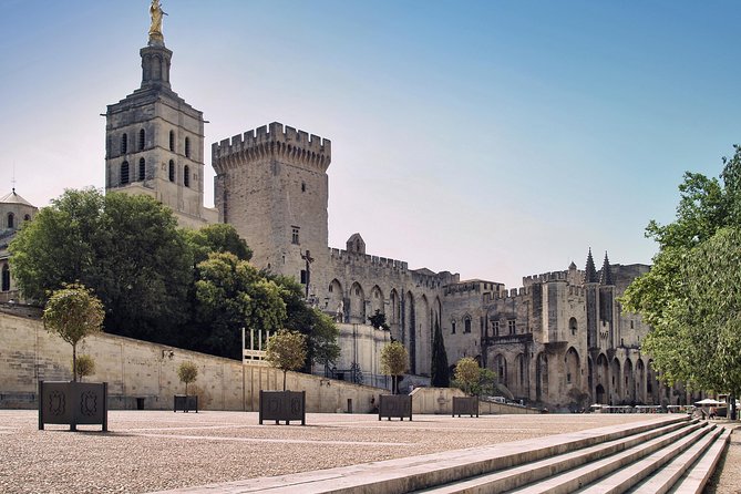 Avignon Walking Tour including Pope's Palace - Avignon’s Medieval Power Center in One 3.5-Hour Walk
