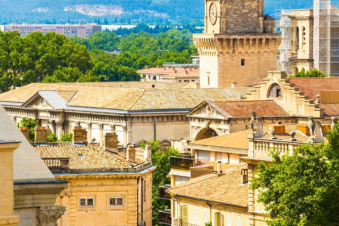 Avignon Walking Tour including Pope's Palace - Le Vin Devant Soi and the Included Côtes du Rhône Glass