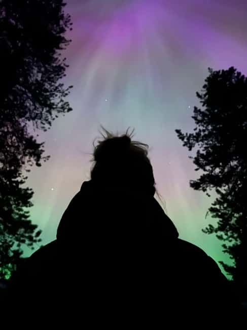 Banff: Guided Sunset and Stargazing Tour - Who should book this Banff sunset stargazing tour