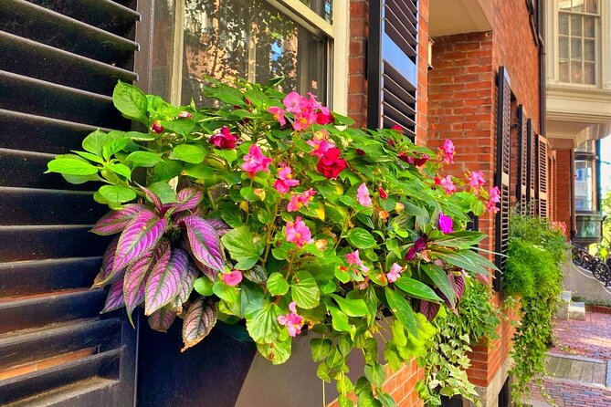 Beacon Hill Boston History + Photo Walking Tour (SMALL Group) - Louisburg Square: ironwork townhouses and a composition workout