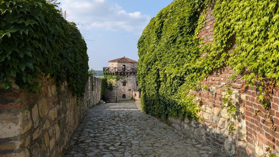 Belgrade: 3-Hour Serbian History Walking Tour - Student Park and Holy Archangel Michael: faith and everyday identity