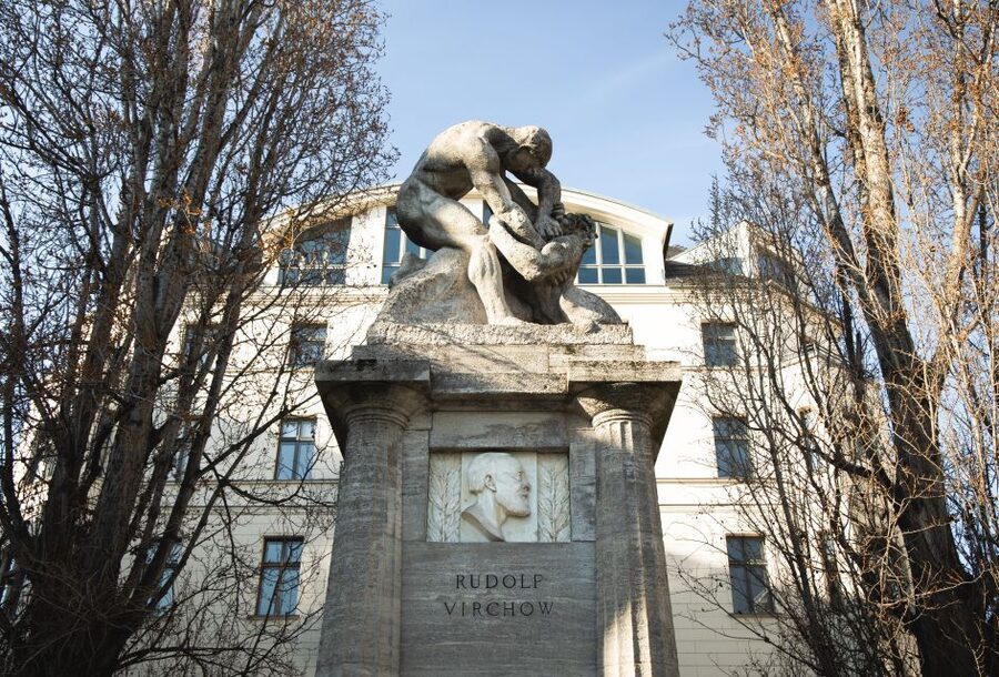 Berlin: walking tour about Charité - Famous Doctors and Nobel Names: Why These Stories Stick