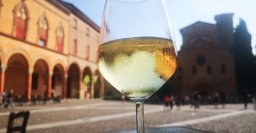 Bologna: City Center Guided Wine Walking Tour - The first tasting stop: enoteca culture and the Colli Bolognesi focus