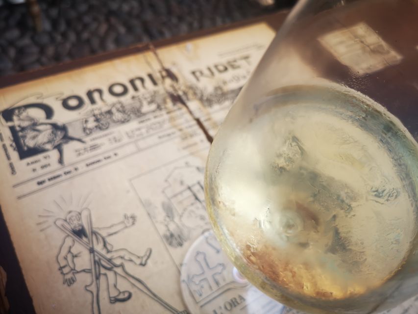 Bologna: City Center Guided Wine Walking Tour - Meeting at Piazza del Nettuno: the easiest start point