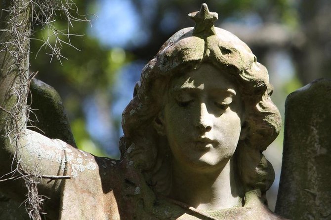 Bonaventure Cemetery Walking Tour with Transportation - Hotel Pickup and a Historian Guide: What You’re Really Paying For