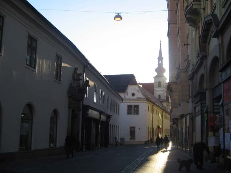 Brno: Historic Downtown Walking Tour - Cathedral of Saints Peter and Paul plus St. James Church: the look-up game
