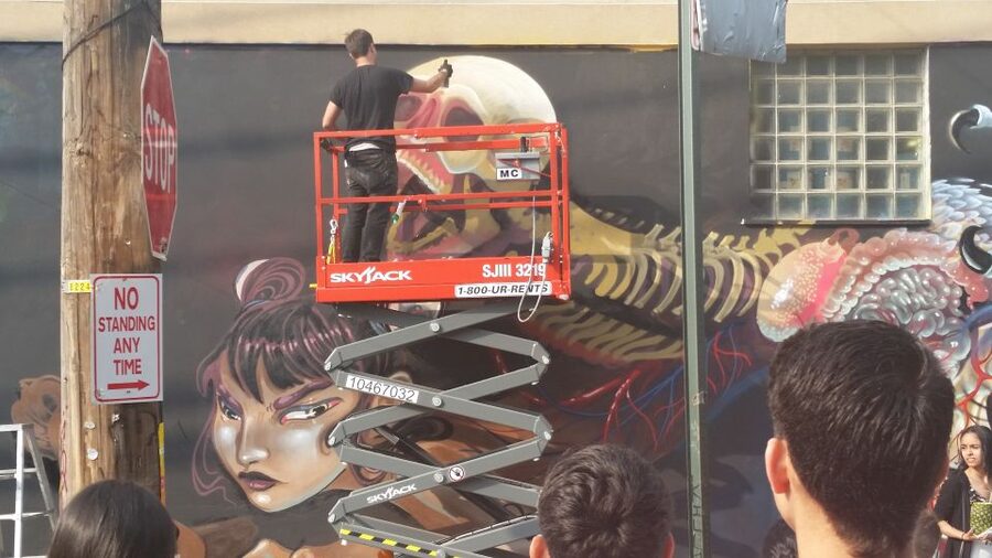 Brooklyn: Bushwick Street Art Walking Tour - Price and value: $20 for a guide with a point of view