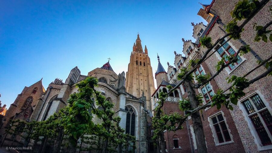 Bruges: Private Historical Highlights Walking Tour - Practical Tips to Get the Most Out of Your Walk