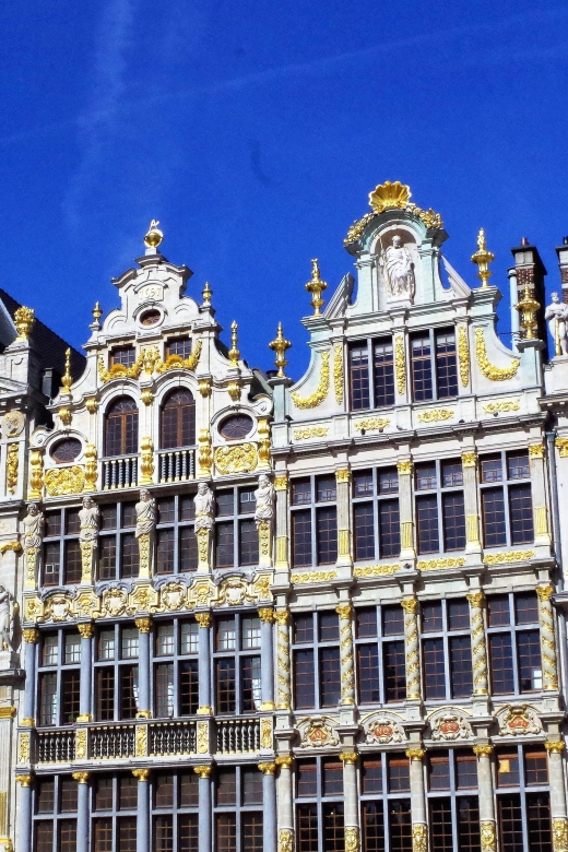 Brussels: Walking Tour with Belgian Lunch, Chocolate, & Beer - Who this tour suits best (and who should skip it)