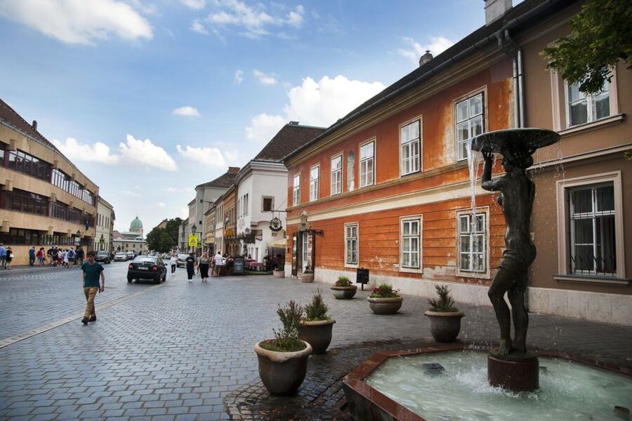 Budapest: Buda Castle District Walking Tour - Terraces and the Danube Skyline: Where the Bridges Show Up