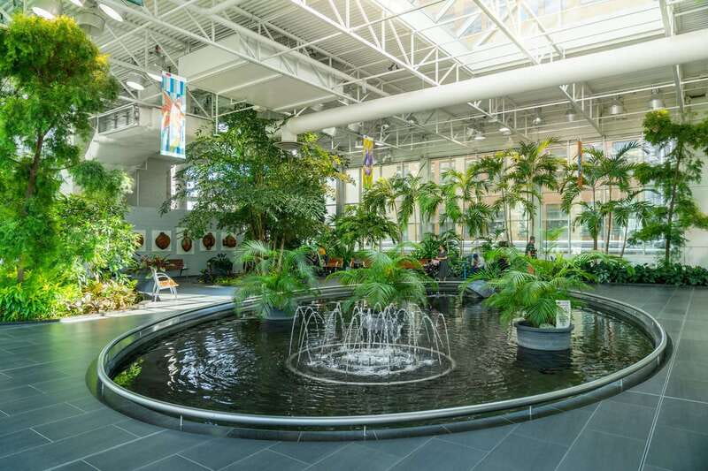 Calgary: City Highlights Walking Tour | 3-Hour - Key reasons this Calgary walking tour works