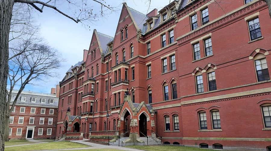 Cambridge, Massachusetts: MIT and Harvard Walking Tour - Key Things That Make This Tour Worth Your Time