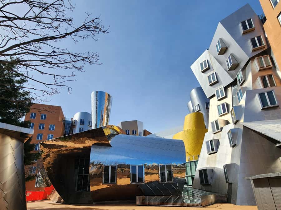 Cambridge, Massachusetts: MIT and Harvard Walking Tour - Harvard Yard: The Statue of the Three Lies and Real Campus Legends