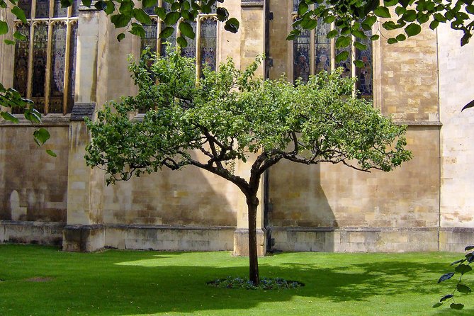 Cambridge University Walking Tour - Great St Mary’s, Senate House, and the Cambridge center