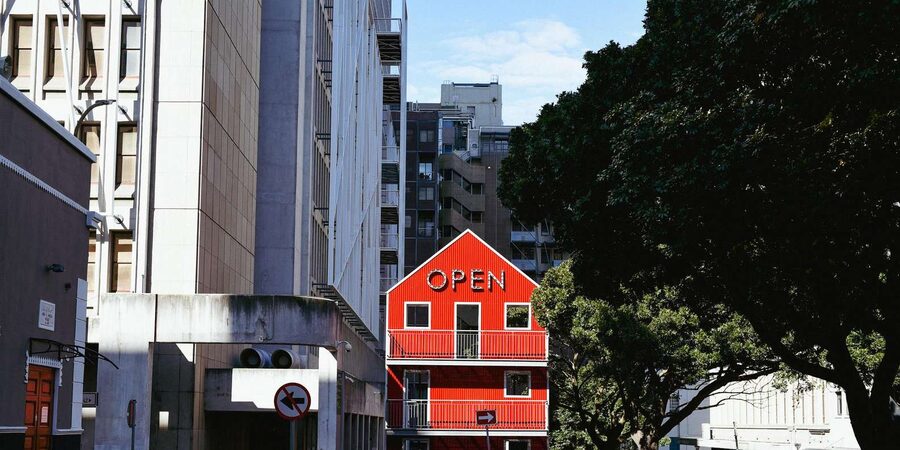 Cape Town: Art, Culture & History Walking Tour - Company’s Garden: a calm breather with a city-spine perspective