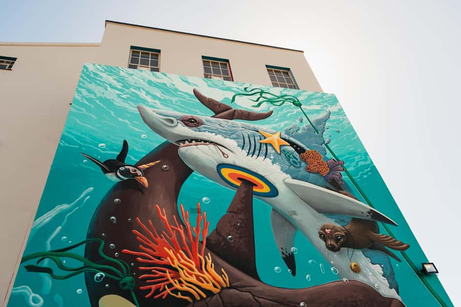 Cape Town: Street Art Walking Tour in Woodstock - Key things to know before you go