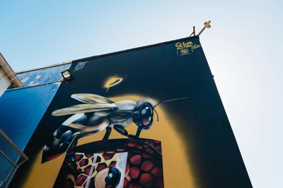 Cape Town: Street Art Walking Tour in Woodstock - Old Biscuit Mill and Salt River Nature Park: textures of change, not just paint