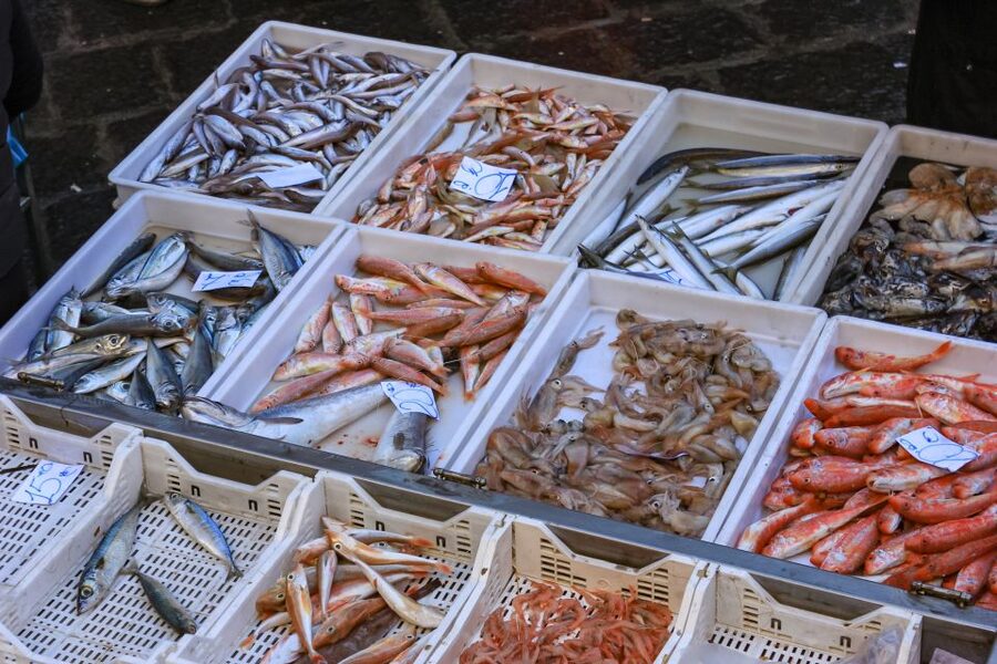 Catania: Street Food Guided Walking Tour - Key Highlights You Should Care About