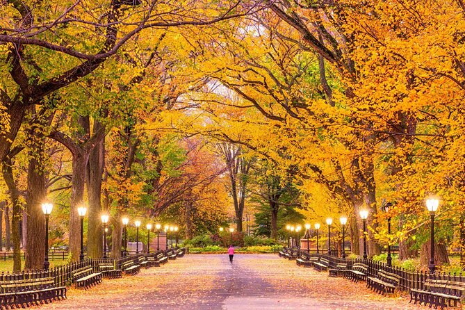 Central Park Guided Walking Tour - Key points