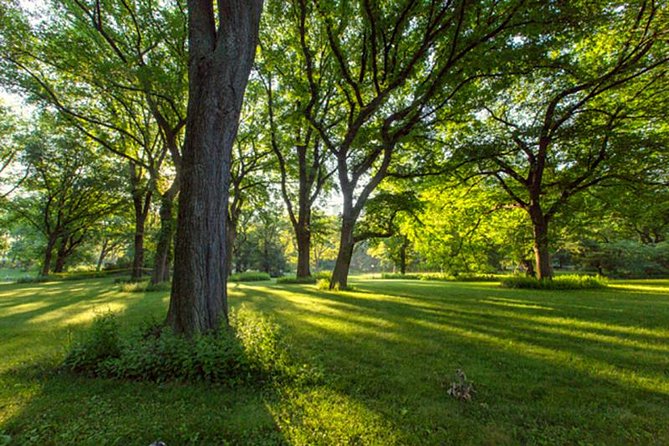 Central Park Guided Walking Tour - Price and Value: Is $44.20 a Good Deal?