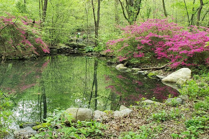 Central Park Walking Tour - Strawberry Fields: More Than a Famous Stop
