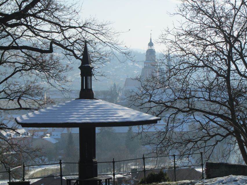 Český Krumlov: 2 Hour Private Walking Tour with Guide - Private group value: $129 for up to 2 people, and why that can pay off